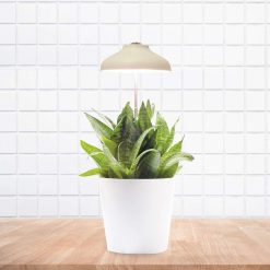 Wholesale La Chaise Longue Lampe Pour Plante Usb